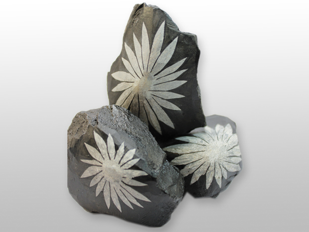 Chrysanthemen-Steine